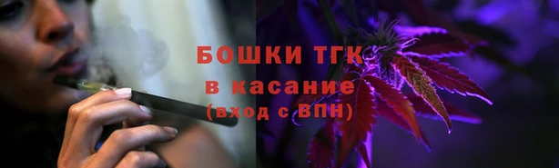 прущие грибы Абинск