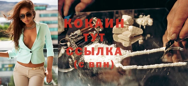 прущие грибы Абинск