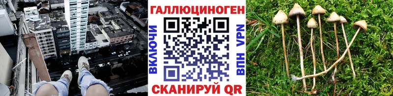 сколько стоит  Белоярский  Псилоцибиновые грибы прущие грибы 